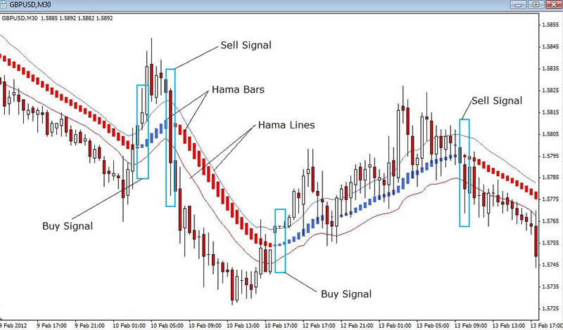 Rds forex system