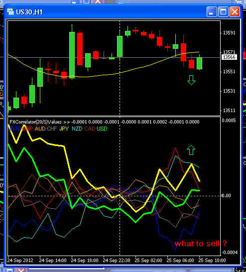 Option traders lose money