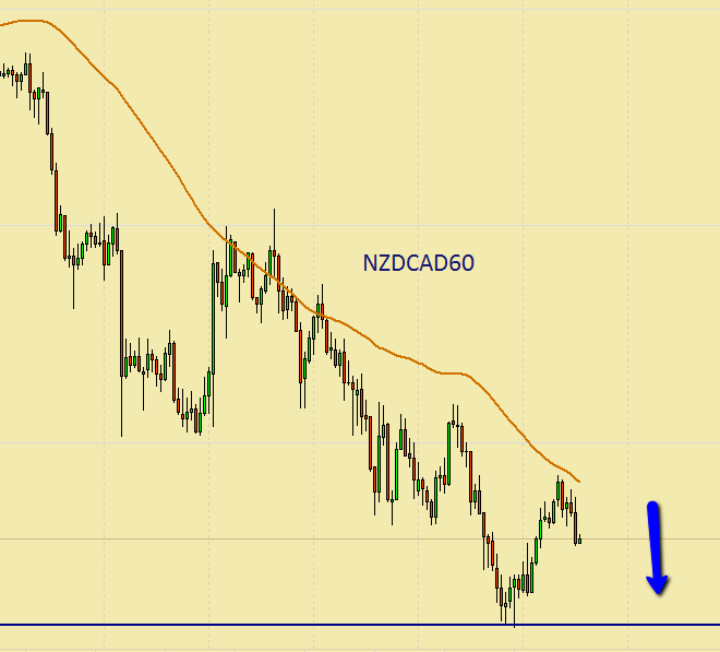 Forex 3 ducks trading system