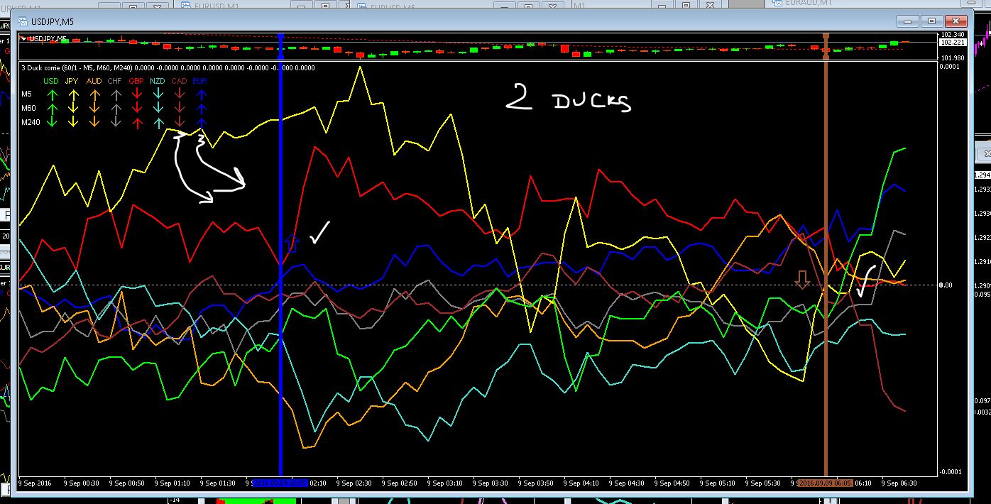 Forex trading message board