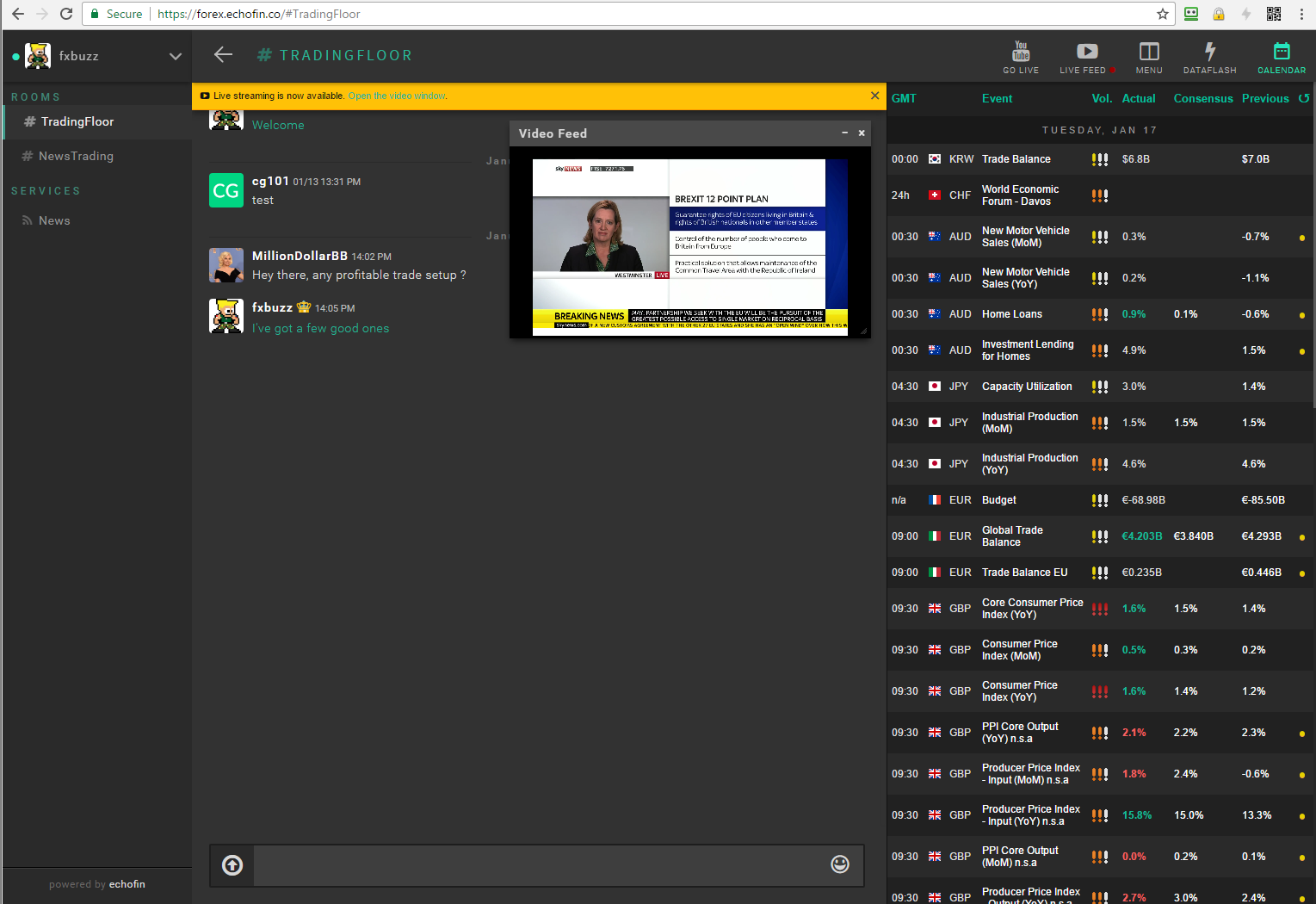 Binary options trading chat room