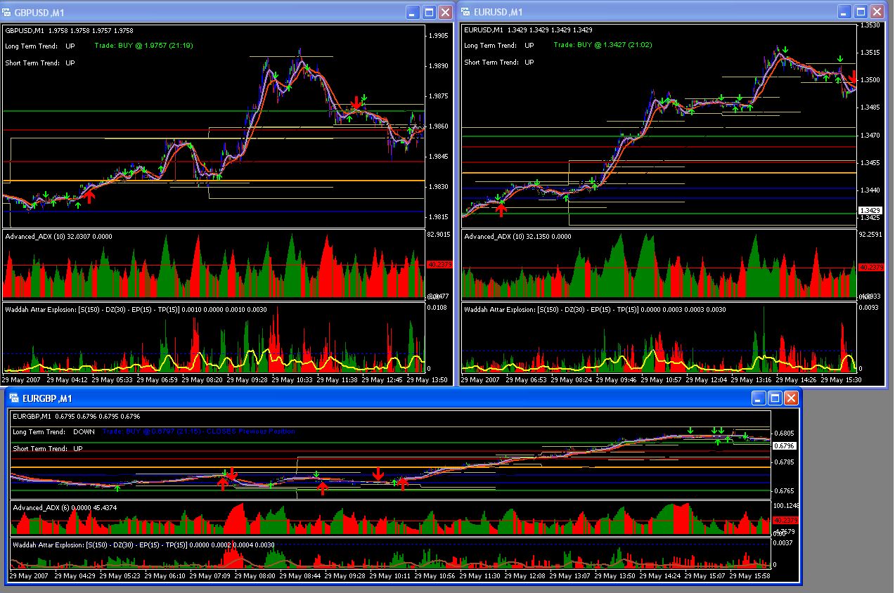 I am a successful forex trader