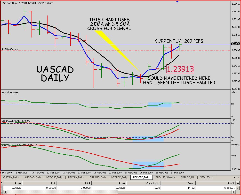 Higher time frame forex trading