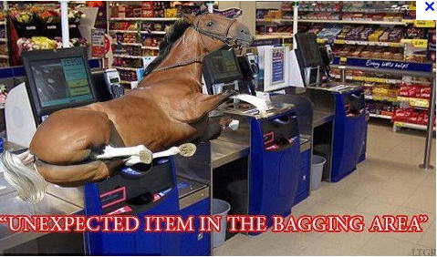 153800d1358545834-horsemeat-found-tesco-burgers-ode-z.jpg