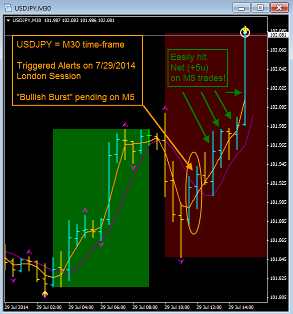 how to trade options on momentum stocks