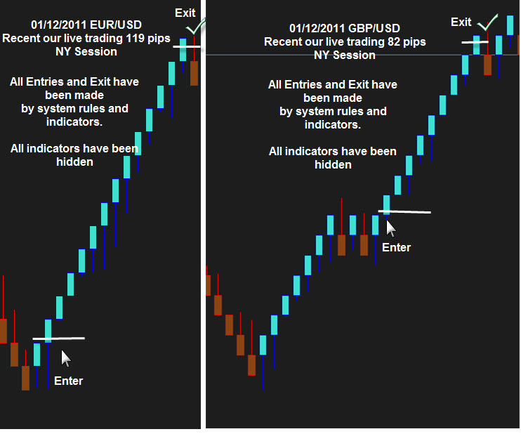 Renko scalp trading system
