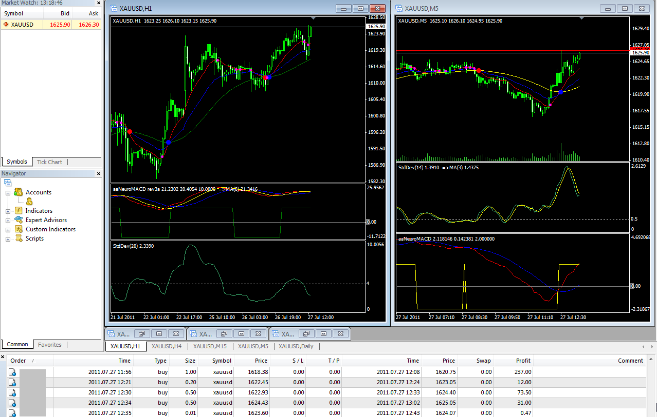 Forex robot programozas