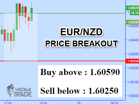 Daily forex signal update
