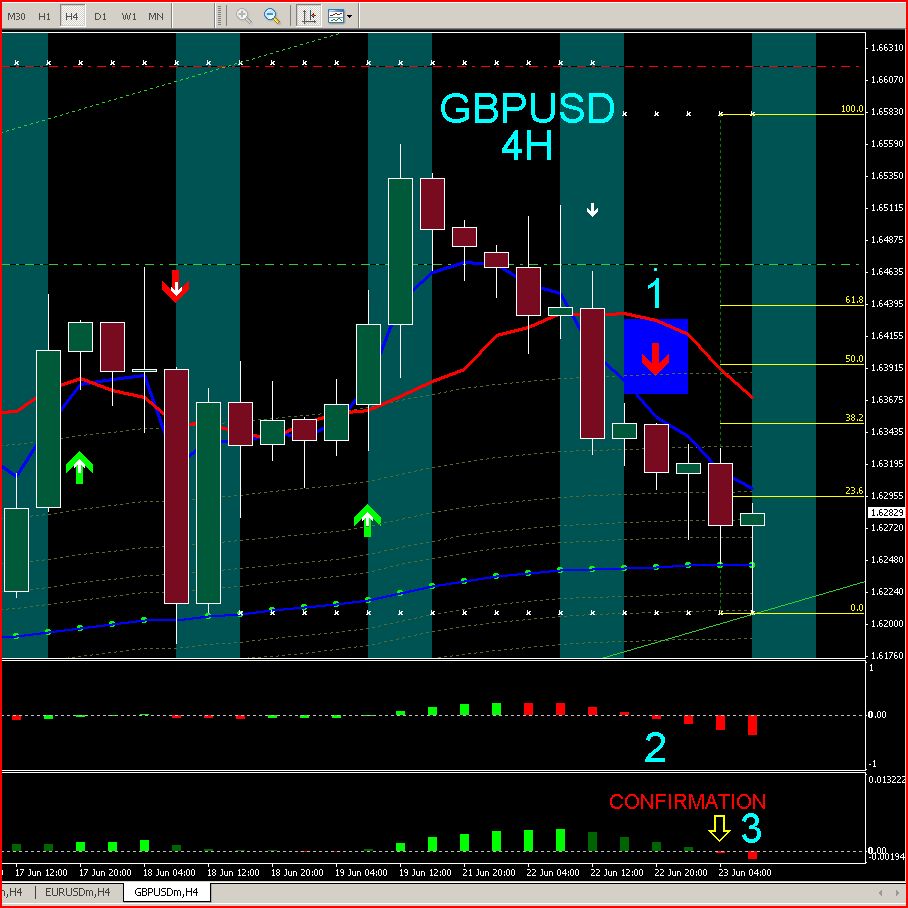 Forex profit monster daily
