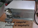 cat_in_computer.jpg