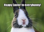 happy-easter-bunny.jpg
