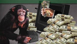 Monkey-computer-money.jpg