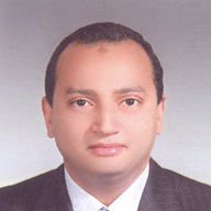 Walid Salah Eldin