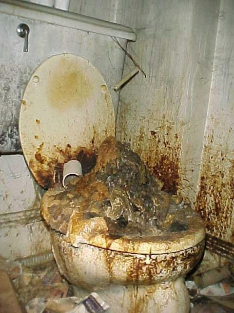 If-You-Find-More-Disgusting-Toilet-Dont-Show-It-Me_500x500.jpg
