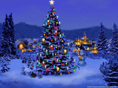 Christmas-Tree-Nature1024-226431.jpeg