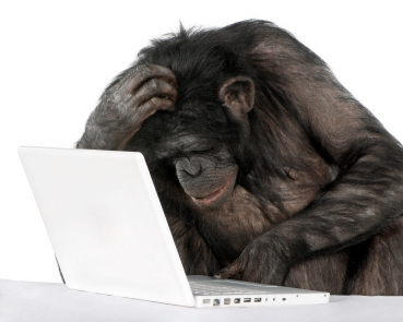 monkey-keyboard.jpg