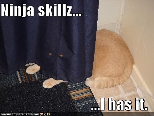 funny-pictures-curtain-ninja-cat.jpg