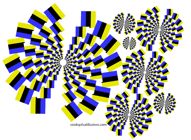 moving-spiral-illusion-800.gif