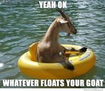 whatever-floats-your-goat.jpeg