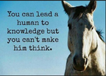 You can lead a................................png