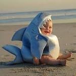 baby sharky.jpg