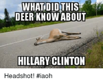 what-did-this-deer-know-about-hillary-clinton-headshot-iaoh-3585074.png