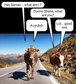 Joke - Cow Cyclist.png