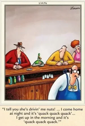 Joke - Duck Quck.webp