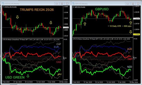 trump 2526 fx indexes.jpg