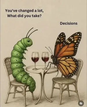 Joke - Decisions.webp