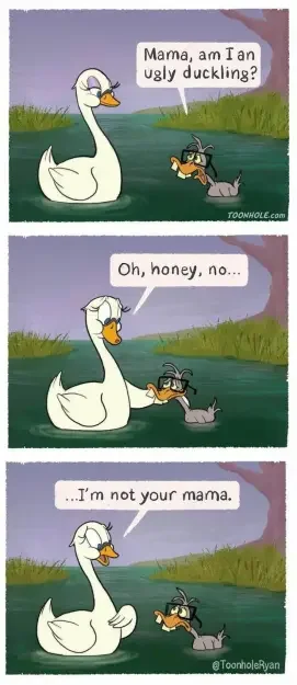 Joke - Duck_not your mon.webp