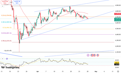 gold-tests-lower-ground-6141.png