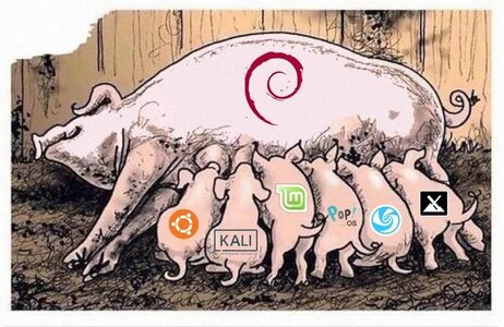 Debian-Pig.jpg