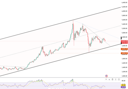 gold-slips-toward-4600-6248.png