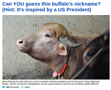 TrumpBuff.png