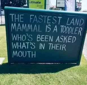 Joke - fastest land mama.webp