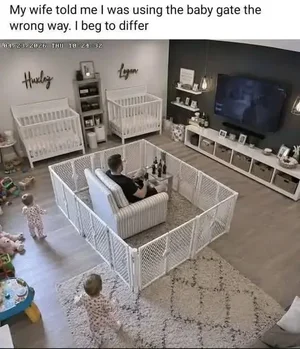 Joke - baby fence.webp