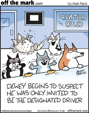 Joke - catnip.png