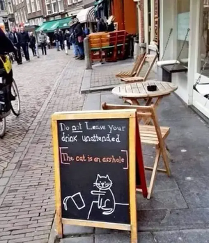 Joke  - Cat Asshole.png
