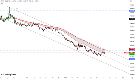 CNH (3).png