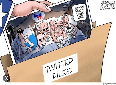 Joke - Twitter - Nothing To See Here.jpg