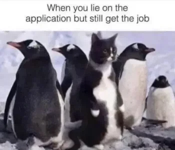 Joke - Job.webp