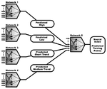 Figure2 Map of NN.gif