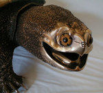 turtle-head-close-up-jpg.jpg