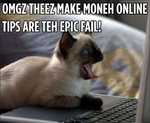 epic-fail-cat.jpg