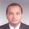 Walid Salah Eldin