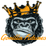 GorillaFutures