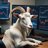 TheGoatTrader