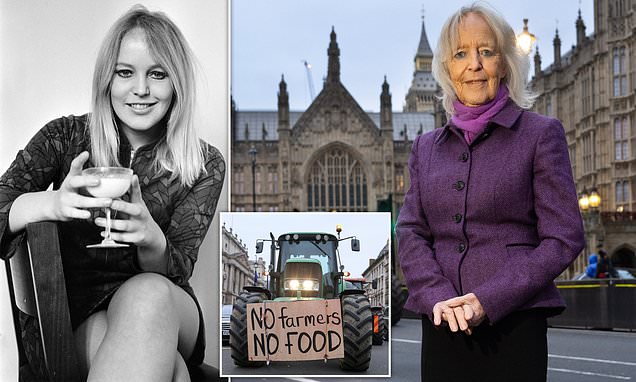 www.dailymail.co.uk