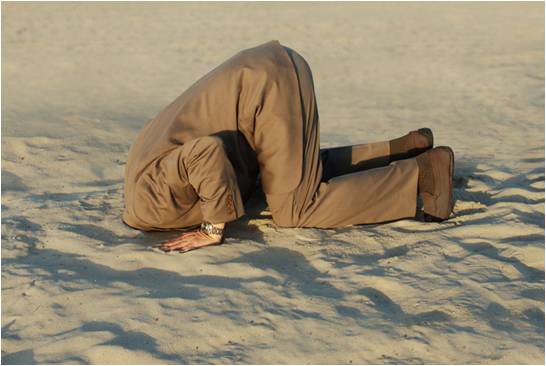 enviromental-head-in-the-sand.jpg